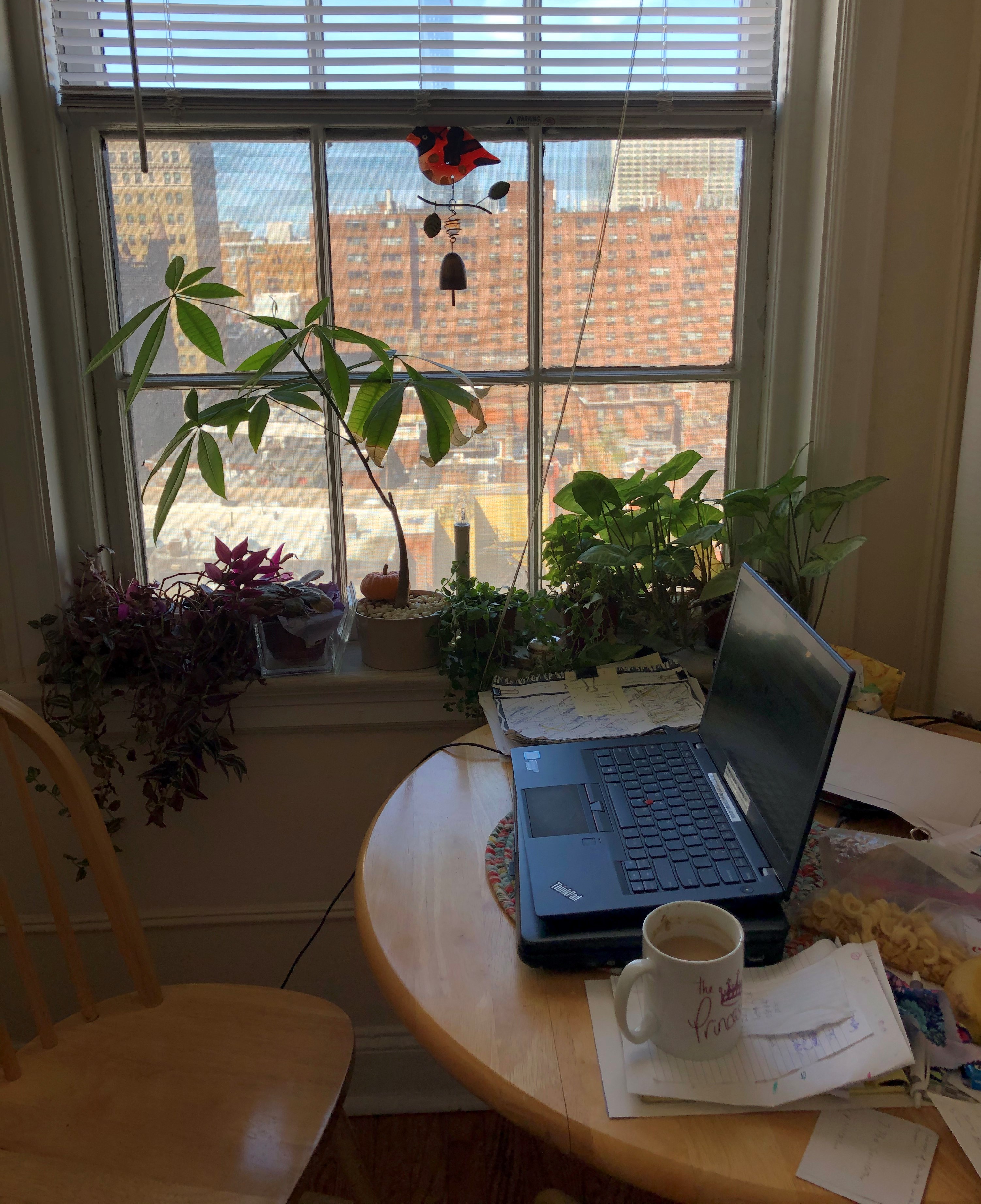 A laptop on a table next to a window